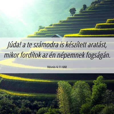 Picture 06 - Hóseás 6:11 KAR - Júda! a te számodra is készített aratást, - Bible Verse Picture