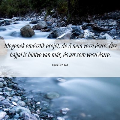 Picture 06 - Hóseás 7:9 KAR - Idegenek emésztik erejét, de õ nem veszi - Bible Verse Picture