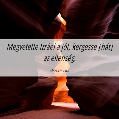 Picture 06 - Hóseás 8:3 KAR - Megvetette Izráel a jót, kergesse [hát] az - Bible Verse Picture