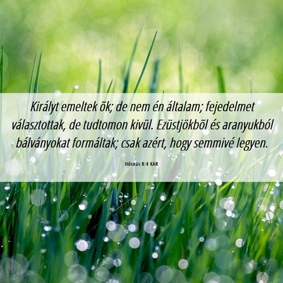Picture 06 - Hóseás 8:4 KAR - Királyt emeltek õk; de nem én általam; - Bible Verse Picture