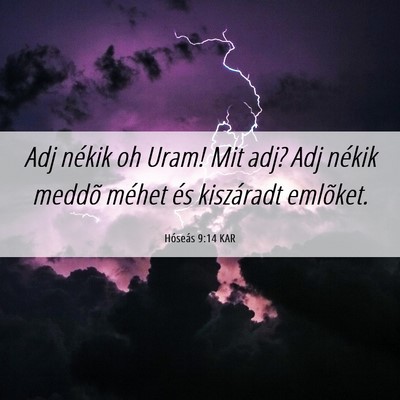 Picture 06 - Hóseás 9:14 KAR - Adj nékik oh Uram! Mit adj? Adj nékik meddõ - Bible Verse Picture