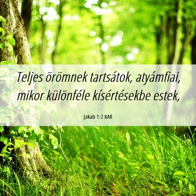 Picture 06 - Jakab 1:2 KAR - Teljes örömnek tartsátok, atyámfiai, mikor - Bible Verse Picture
