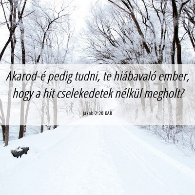 Picture 06 - Jakab 2:20 KAR - Akarod-é pedig tudni, te hiábavaló ember, hogy - Bible Verse Picture