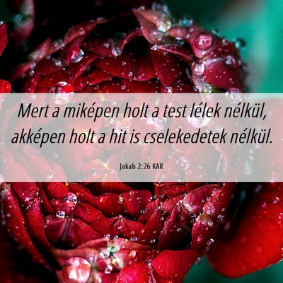 Picture 06 - Jakab 2:26 KAR - Mert a miképen holt a test lélek nélkül, - Bible Verse Picture