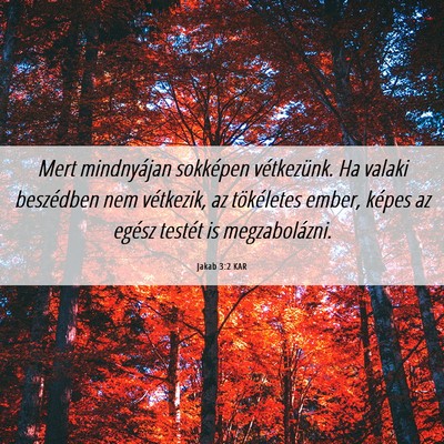 Picture 06 - Jakab 3:2 KAR - Mert mindnyájan sokképen vétkezünk. Ha valaki - Bible Verse Picture
