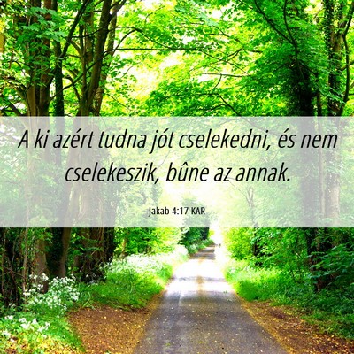 Picture 06 - Jakab 4:17 KAR - A ki azért tudna jót cselekedni, és nem - Bible Verse Picture