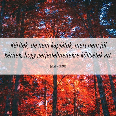 Picture 06 - Jakab 4:3 KAR - Kéritek, de nem kapjátok, mert nem jól - Bible Verse Picture