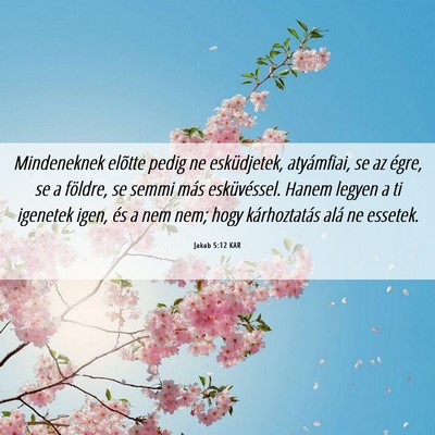 Picture 06 - Jakab 5:12 KAR - Mindeneknek elõtte pedig ne esküdjetek, - Bible Verse Picture