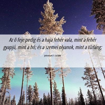 Picture 06 - Jelenések 1:14 KAR - Az õ feje pedig és a haja fehér vala, mint a - Bible Verse Picture