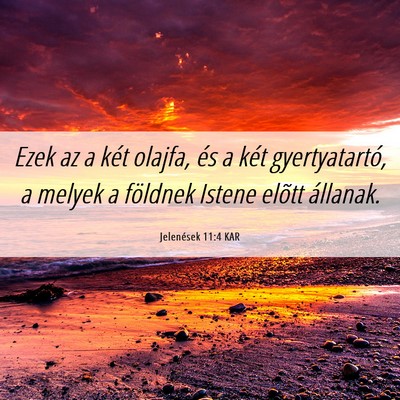 Picture 06 - Jelenések 11:4 KAR - Ezek az a két olajfa, és a két gyertyatartó, - Bible Verse Picture