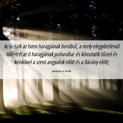 Picture 06 - Jelenések 14:10 KAR - Az is iszik az Isten haragjának borából, a - Bible Verse Picture
