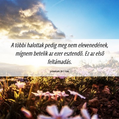 Picture 06 - Jelenések 20:5 KAR - A többi halottak pedig meg nem elevenedének, - Bible Verse Picture