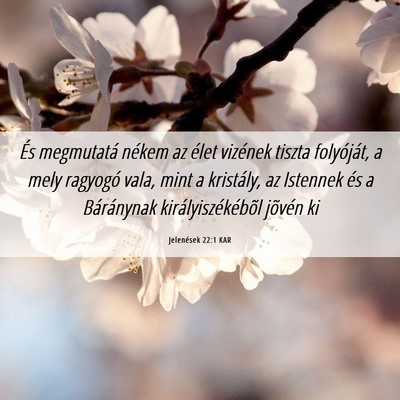 Picture 06 - Jelenések 22:1 KAR - És megmutatá nékem az élet vizének tiszta - Bible Verse Picture