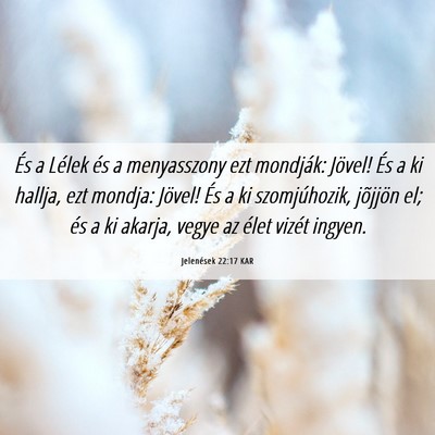 Picture 06 - Jelenések 22:17 KAR - És a Lélek és a menyasszony ezt mondják: - Bible Verse Picture