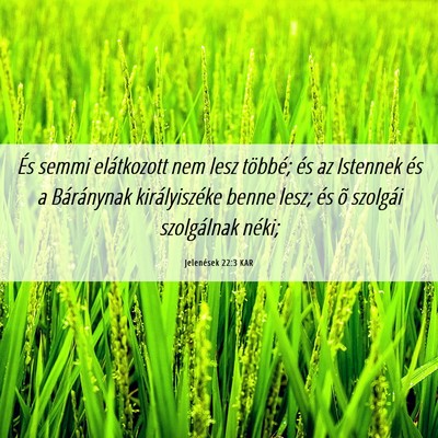 Picture 06 - Jelenések 22:3 KAR - És semmi elátkozott nem lesz többé; és az - Bible Verse Picture