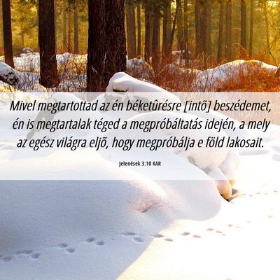 Picture 06 - Jelenések 3:10 KAR - Mivel megtartottad az én béketûrésre [intõ] - Bible Verse Picture
