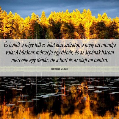 Picture 06 - Jelenések 6:6 KAR - És hallék a négy lelkes állat közt - Bible Verse Picture