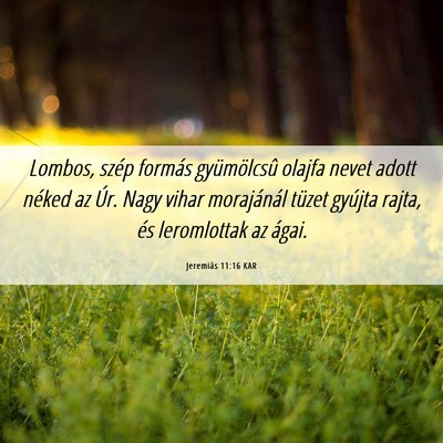 Picture 06 - Jeremiás 11:16 KAR - Lombos, szép formás gyümölcsû olajfa nevet - Bible Verse Picture