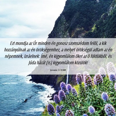 Picture 06 - Jeremiás 12:14 KAR - Ezt mondja az Úr minden én gonosz szomszédom - Bible Verse Picture