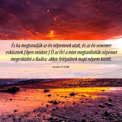 Picture 06 - Jeremiás 12:16 KAR - És ha megtanulják az én népemnek utait, és - Bible Verse Picture