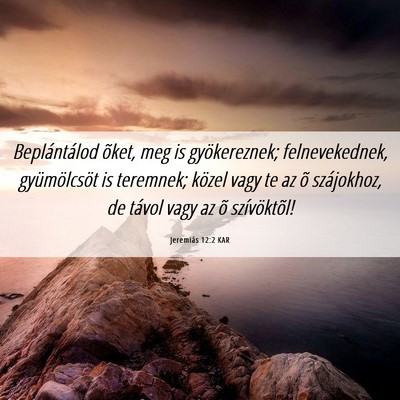 Picture 06 - Jeremiás 12:2 KAR - Beplántálod õket, meg is gyökereznek; - Bible Verse Picture