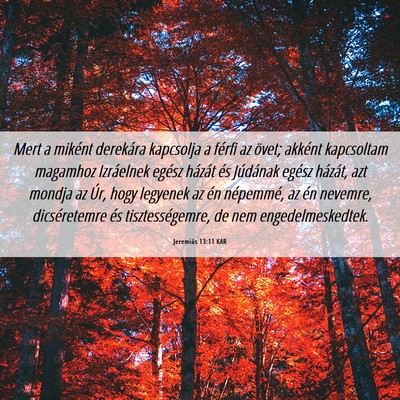 Picture 06 - Jeremiás 13:11 KAR - Mert a miként derekára kapcsolja a férfi az - Bible Verse Picture