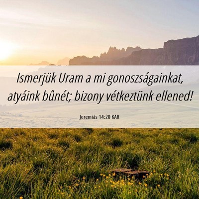 Picture 06 - Jeremiás 14:20 KAR - Ismerjük Uram a mi gonoszságainkat, atyáink - Bible Verse Picture