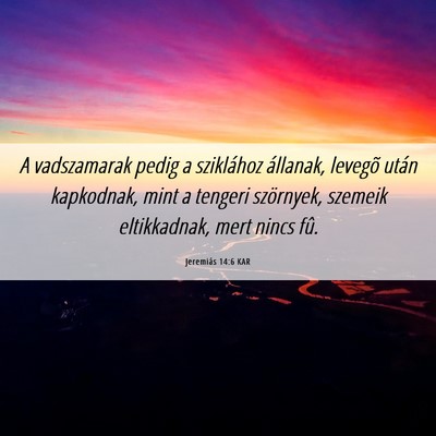 Picture 06 - Jeremiás 14:6 KAR - A vadszamarak pedig a sziklához állanak, - Bible Verse Picture