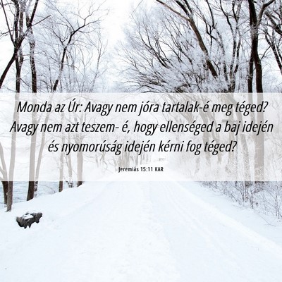 Picture 06 - Jeremiás 15:11 KAR - Monda az Úr: Avagy nem jóra tartalak-é meg - Bible Verse Picture