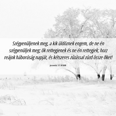 Picture 06 - Jeremiás 17:18 KAR - Szégyenüljenek meg, a kik üldöznek engem, de - Bible Verse Picture