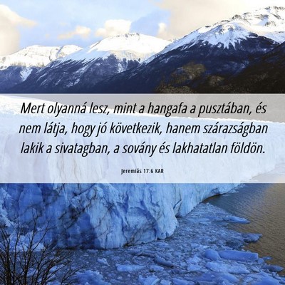Picture 06 - Jeremiás 17:6 KAR - Mert olyanná lesz, mint a hangafa a pusztában, - Bible Verse Picture