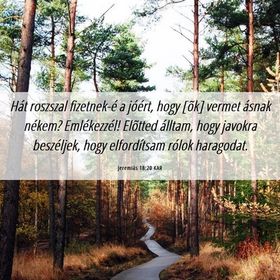Picture 06 - Jeremiás 18:20 KAR - Hát roszszal fizetnek-é a jóért, hogy [õk] - Bible Verse Picture