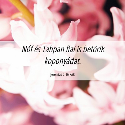 Picture 06 - Jeremiás 2:16 KAR - Nóf és Tahpan fiai is betörik - Bible Verse Picture