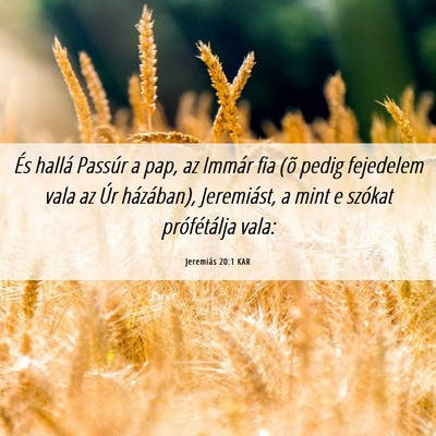 Picture 06 - Jeremiás 20:1 KAR - És hallá Passúr a pap, az Immár fia (õ pedig - Bible Verse Picture