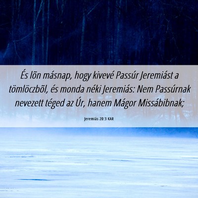 Picture 06 - Jeremiás 20:3 KAR - És lõn másnap, hogy kivevé Passúr Jeremiást - Bible Verse Picture