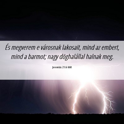 Picture 06 - Jeremiás 21:6 KAR - És megverem e városnak lakosait, mind az - Bible Verse Picture