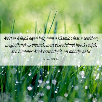 Picture 06 - Jeremiás 23:12 KAR - Azért az õ útjok olyan lesz, mint a sikamlós - Bible Verse Picture