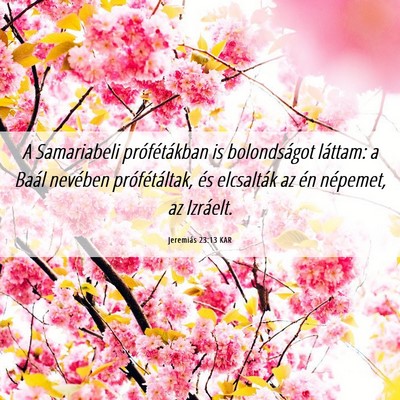 Picture 06 - Jeremiás 23:13 KAR - A Samariabeli prófétákban is bolondságot - Bible Verse Picture