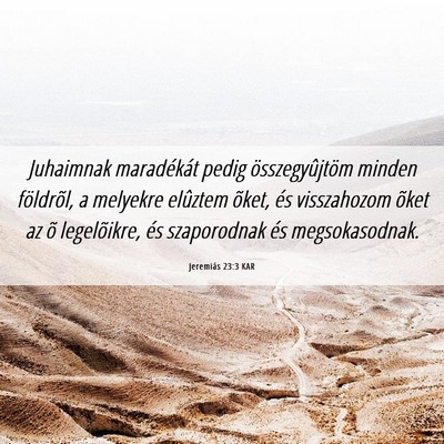 Picture 06 - Jeremiás 23:3 KAR - Juhaimnak maradékát pedig összegyûjtöm - Bible Verse Picture
