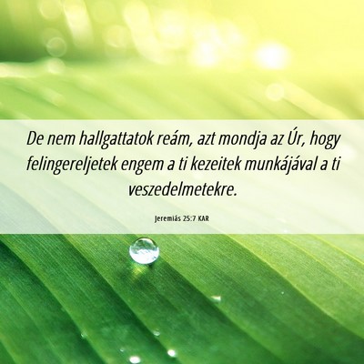 Picture 06 - Jeremiás 25:7 KAR - De nem hallgattatok reám, azt mondja az Úr, - Bible Verse Picture