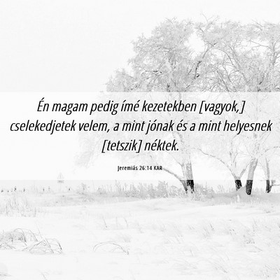 Picture 06 - Jeremiás 26:14 KAR - Én magam pedig ímé kezetekben [vagyok,] - Bible Verse Picture