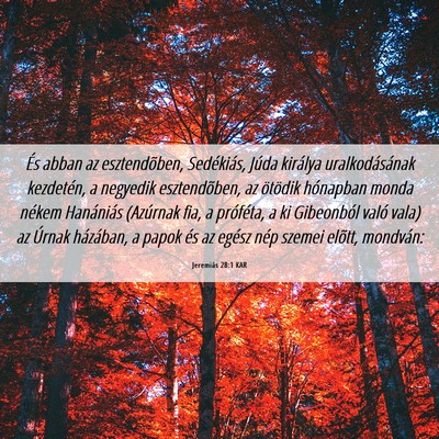 Picture 06 - Jeremiás 28:1 KAR - És abban az esztendõben, Sedékiás, Júda - Bible Verse Picture