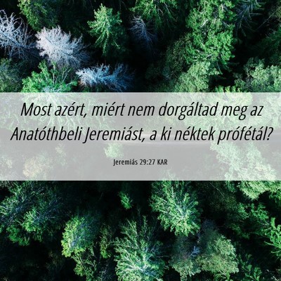 Picture 06 - Jeremiás 29:27 KAR - Most azért, miért nem dorgáltad meg az - Bible Verse Picture
