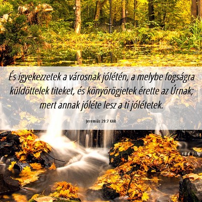 Picture 06 - Jeremiás 29:7 KAR - És igyekezzetek a városnak jólétén, a melybe - Bible Verse Picture