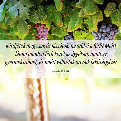 Picture 06 - Jeremiás 30:6 KAR - Kérdjétek meg csak és lássátok, ha szûl-é - Bible Verse Picture