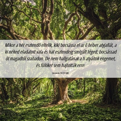 Picture 06 - Jeremiás 34:14 KAR - Mikor a hét esztendõ eltelik, kiki bocsássa el - Bible Verse Picture