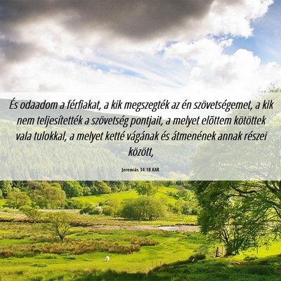 Picture 06 - Jeremiás 34:18 KAR - És odaadom a férfiakat, a kik megszegték az - Bible Verse Picture