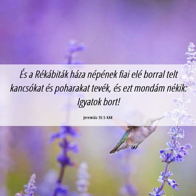 Picture 06 - Jeremiás 35:5 KAR - És a Rékábiták háza népének fiai elé - Bible Verse Picture