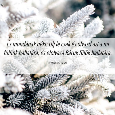 Picture 06 - Jeremiás 36:15 KAR - És mondának néki: Ülj le csak és olvasd azt - Bible Verse Picture