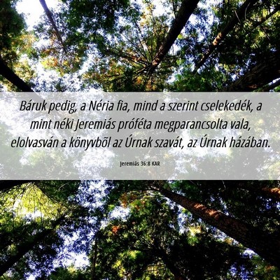 Picture 06 - Jeremiás 36:8 KAR - Báruk pedig, a Néria fia, mind a szerint - Bible Verse Picture
